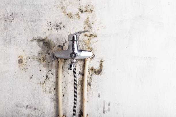 Best Water Damage Restoration  in Fair Lawn, NJ